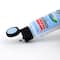 12 Pack: Multi-Surface Premium Satin Acrylic Paint by Craft Smart®